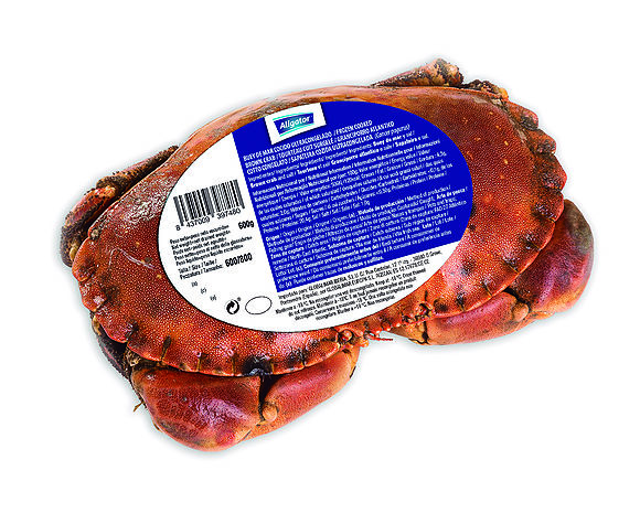 Cooked brown crab 