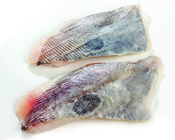 Filete peixe galo San Pedro com pele